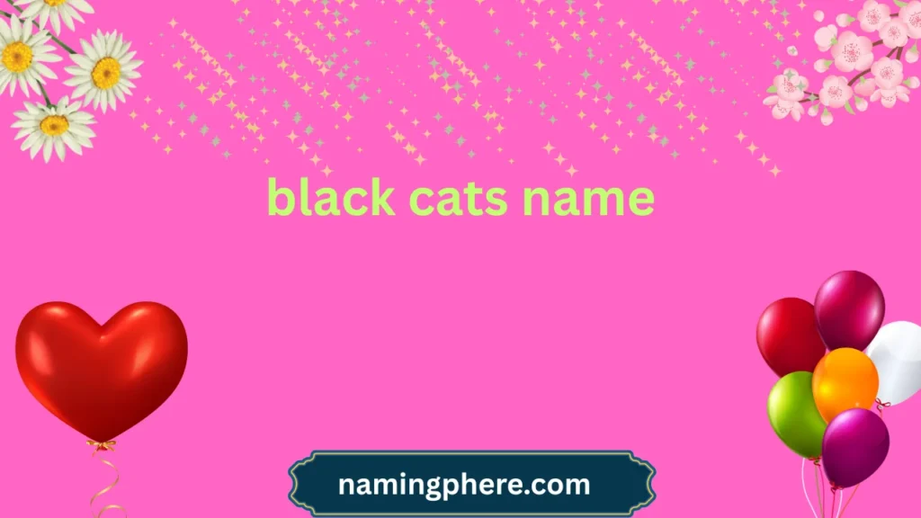 black cats name