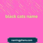 black cats name