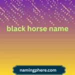 black horse name