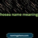 hosea name meaning