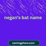 negan's bat name