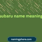 subaru name meaning