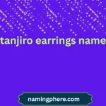 tanjiro earrings name