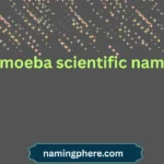 amoeba scientific name