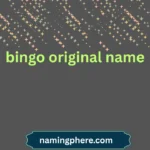 bingo original name