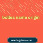 bollea name origin