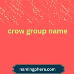 crow group name