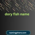 dory fish name