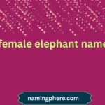 female elephant name