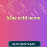 h2se acid name