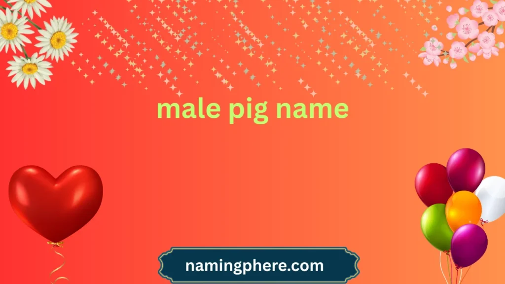 male pig name