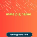 male pig name
