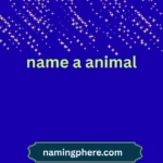 name a animal