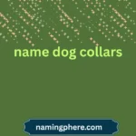 name dog collars