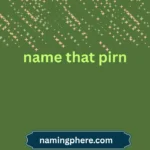 name that pirn