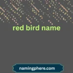 red bird name