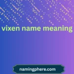 vixen name meaning