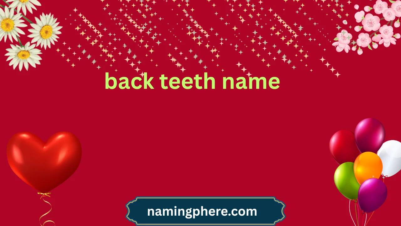 back teeth name