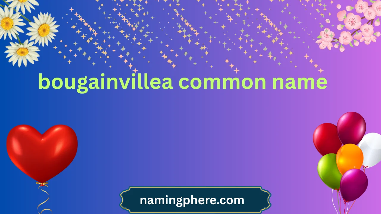 bougainvillea common name