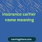 insurance carrier name meaning