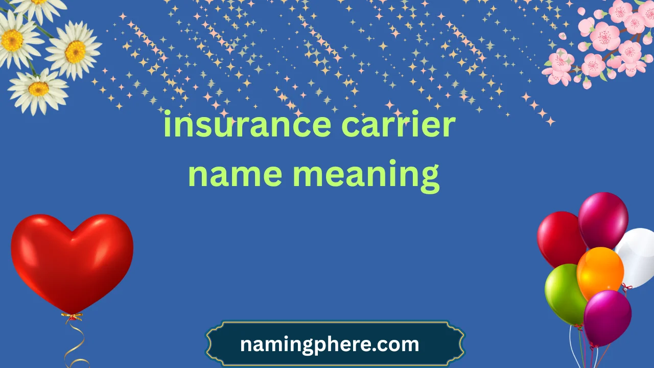insurance carrier name meaning