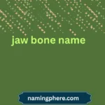 jaw bone name