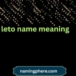 leto name meaning