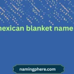 mexican blanket name