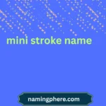 mini stroke name