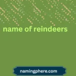 name of reindeers