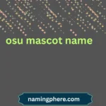 osu mascot name