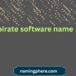 pirate software name