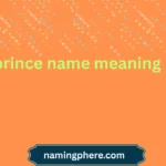 prince name meaning