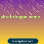 shrek dragon name