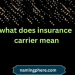 what does insurance carrier mean