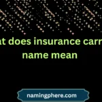 what does insurance carrier name mean