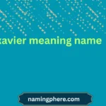 xavier meaning name