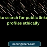 how to search for public linkedin profiles ethically