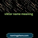 viktor name meaning